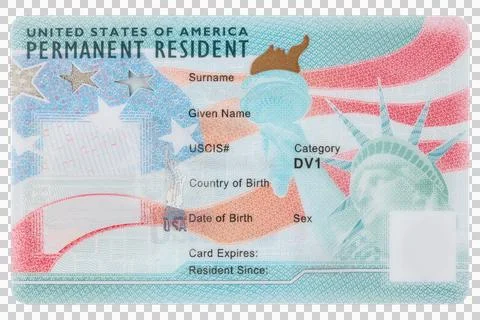 Green Card. Immigrant ID. US Permanent resident card. Stock Photos