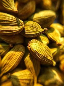 Green Cardamom Stock Photos