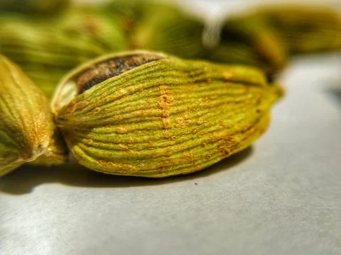 Green Cardamom Stock Photos