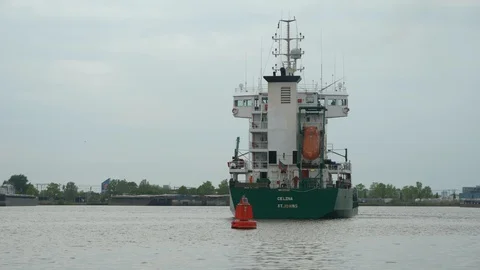 Green cargo container vessel Celina in 4K. Stock Footage 130063994