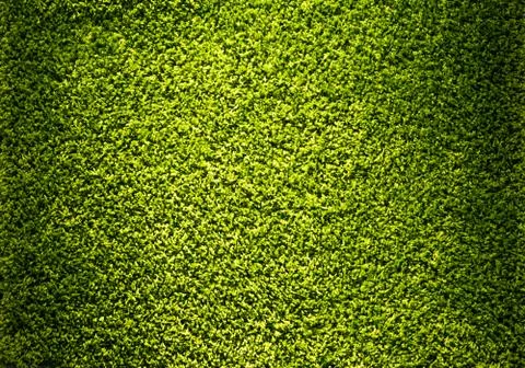 Green carpet background 写真素材