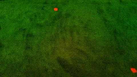 Green Carpets Stock Photos