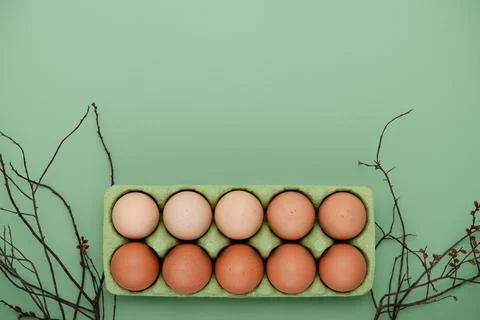 Green carton of eggs with spring tree branches. Easter background Stock Photos