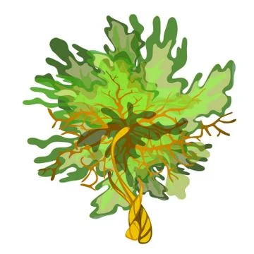 Green cartoon algae isolated on white background. Aquatic plants of coral reefs Stock Illustration