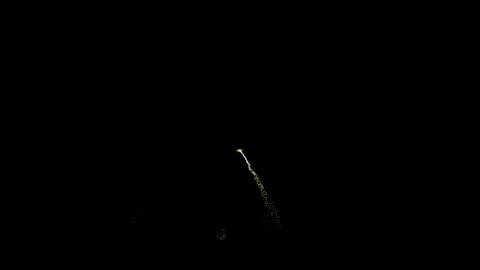Green Cascade Video stock 303814520