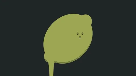 Lemon kaszinó slot gép