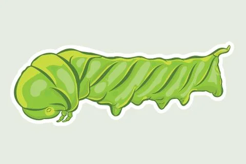 Green caterpillar 스톡 일러스트