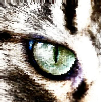 Green cat's eye concept. Vector 写真素材