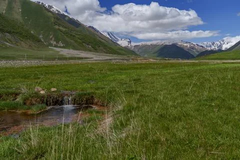 Green Caucasus meadow with tiny spring and distant snowy peaks Stock Photos