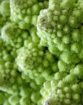 Green Cauliflower Stock Photos