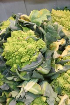 Green cauliflower Stock Photos