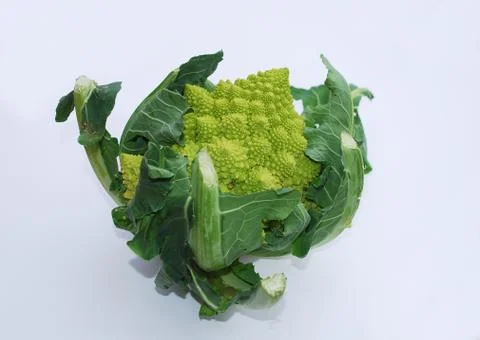 Green Cauliflower Stock Photos