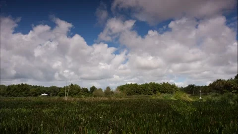Green Cay Wetlands Marsh Time-Lapse Stock Footage 283403418