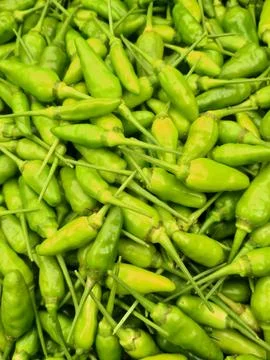 Green cayenne pepper Stock Photos