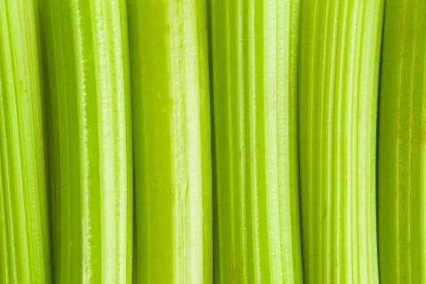 Green celery background Stock Photos