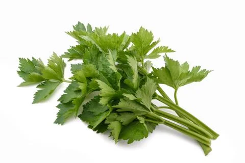 Green celery bunch Stock Photos