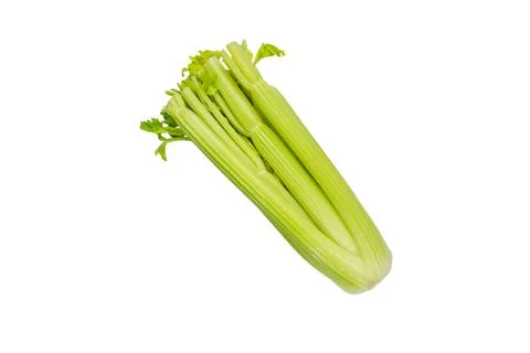 Green celery isolated on white Stock Photos