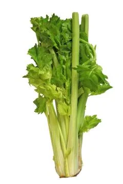 Green celery Stock Photos