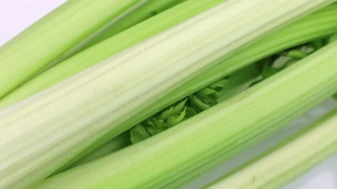 Green celery stem sticks circle rotation close up Stock Footage 255973683