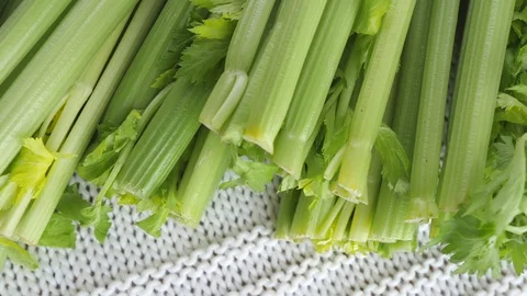 Green Celery Stems. Closeup. Healthy eating concept. 스톡 동영상 123720604