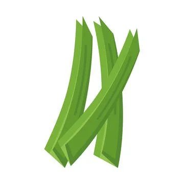Green celery vegetable Stock Illustration