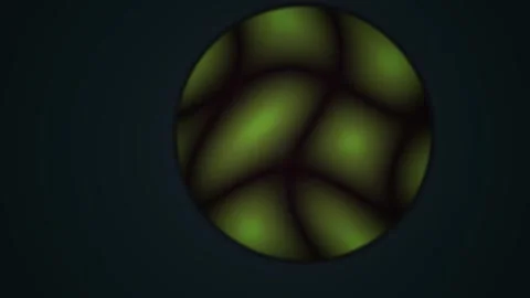 Green Cell Division Under Microscope. Stock Footage 337514520