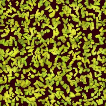 Green cells of bacteria Stock Illustration