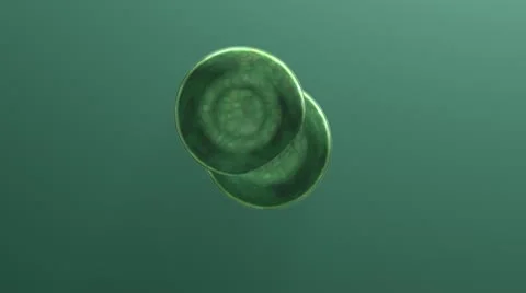 Green Cells Evolution 스톡 동영상 10572347