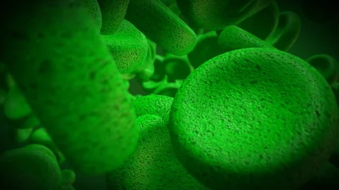 Green Cells Stock Footage 81101500