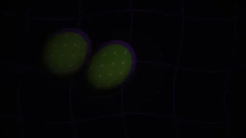Green Cells Under Microscope Closeup. Stock Footage 335112443