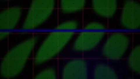 Green Cells Under Microscope Lens Closeup. Stock Footage 340031298