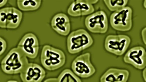 Green cellular material under microscope simulation Stock Footage 276602332