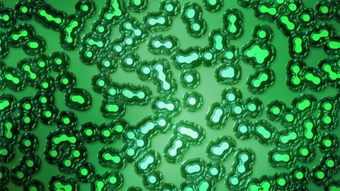 Green Cellular Organisms Background Stock Footage 70144648