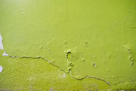 Green cement wall texture background. Stock-Fotos