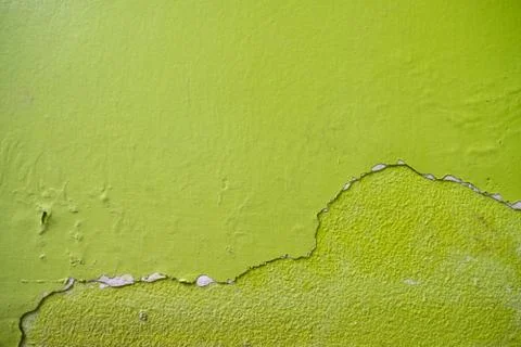 Green cement wall texture background. Stock Photos