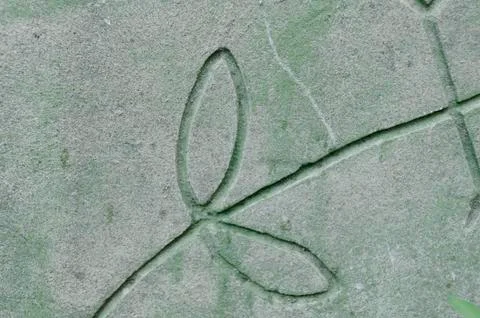 Green Cement Wall Texture Stock Photos
