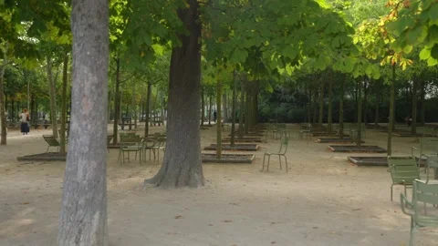 Green Chairs Along a Shaded Path in Luxembourg Gardens Stock Footage 344956832