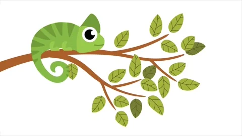 Green chameleon perched on a tree branch Video stock 341905060