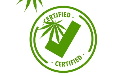 Green check mark icon and marijuana leafs flying - animation Video stock 138709661