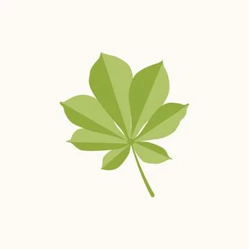 Green chestnut leaf. Flat style illustration Stock Illustration