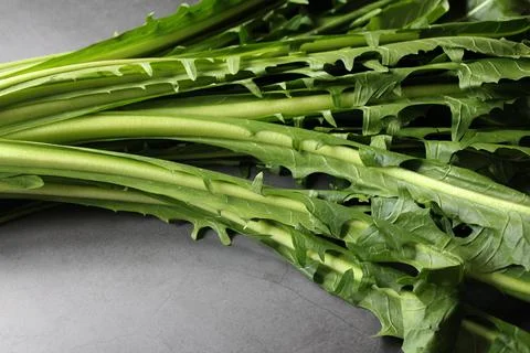 Green chicory Stock Photos