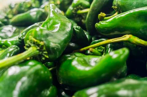 Green chile pepper Foto stock