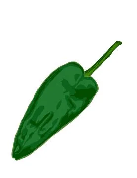 Green chili Stock Illustration