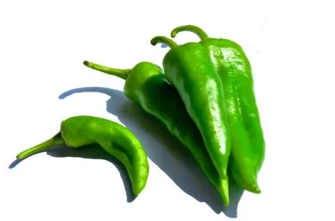 Green chili isolate Stock Photos