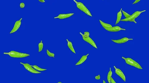 Green chili peppers falling down on a blue screen 動画素材 331766239