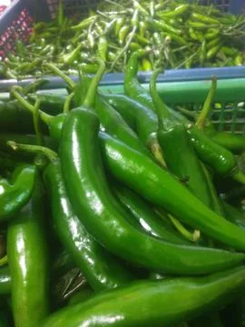 Green chili Stock Photos
