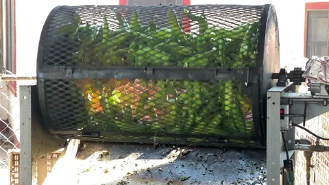 Green Chili Roasting in Hatch, New Mexico USA 4K Stock Footage 138660748