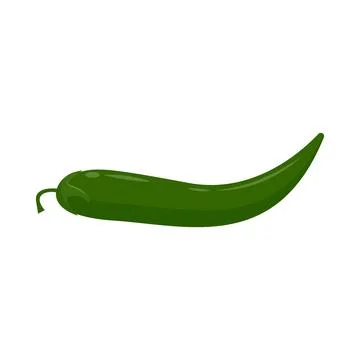Green chili vector Stock Illustration