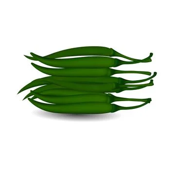 Green chili vector image in white background. Fresh green chilli vector image 스톡 사진