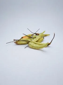 Green chilies Stock Photos